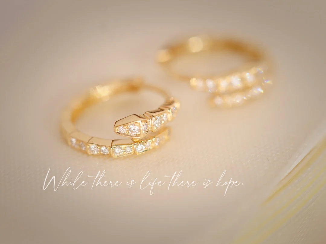 Earrings 18K White/Rose/Yellow Gold White Diamonds Female's