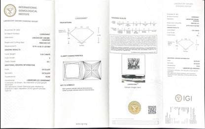 3.53CT Lab Grown Diamond Princess Cut E VS1 CVD 2EX Grade IGI Certificate