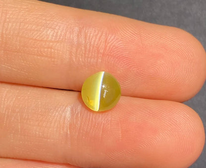 2.15ct Natural Loose Cymophanite Chrysoberyl Cat's Eye Gemstones